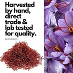 Persian Saffron Spice from Afghanistan by Slofoodgroup, Premium Quality Saffron Threads, All Red Saffron filaments for cooking, tea, Baking and More, Grade 1 Quality 1 Gram