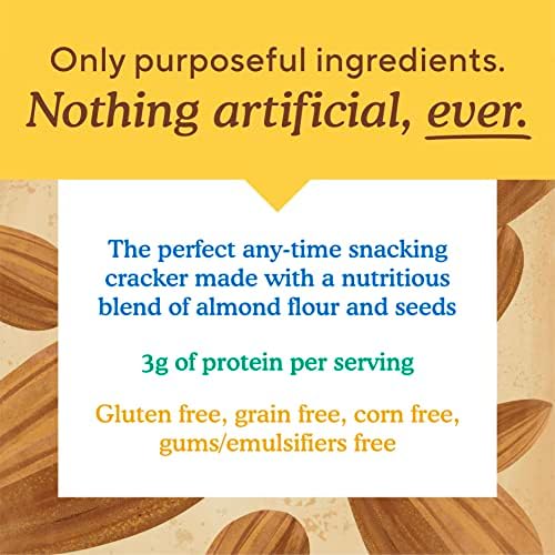 Simple Mills Almond Flour Crackers, Family Size, Fine Ground Sea Salt - Gluten Free, Vegan, Healthy Snacks, 7 Ounce (Pack of 1)