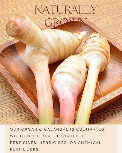 Organic Galangal Powder - Galanga Spice Seasoning in Asian Cooking - for Thai, Indonesian, and Malaysian Cuisine 16 OZ