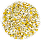 Iyasa Holistics Premium Quality Dried Chamomile Flowers 2.5 Ounce