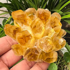 Crystal Cluster Electroplate Natural Quartz Mineral Specimen for Home Decor,Reiki Healing, February Birthstone Gift (Citrine)