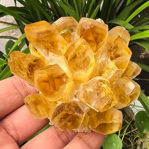 Crystal Cluster Electroplate Natural Quartz Mineral Specimen for Home Decor,Reiki Healing, February Birthstone Gift (Citrine)