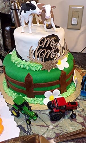 Mr and Mrs Cake Toppers Rustic Flower Tree Wood Wedding Party Engagement Decoration