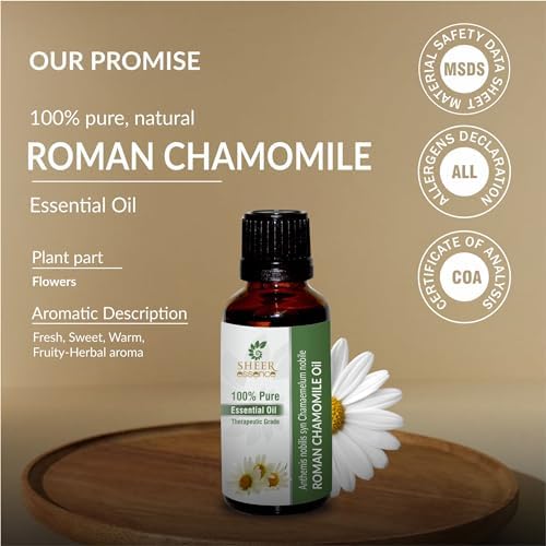 Roman Chamomile Oil (Anthemis Nobilis Syn Chamaemelum Nobile) Essential Oil 100% Pure Natural Undiluted Uncut Therapeutic Grade Oil 0.51 Fl.OZ