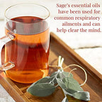 The Republic of Tea - Desert Sage Herbal Tea, 36 Tea Bags