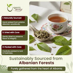 Organic Way Plantain Leaf Cut and Sifted - Herbal Tea | European Wild-Harvest | Organic & Kosher Certified | Non GMO & USDA Certified - Origin Albania (16 Ounce Pack)