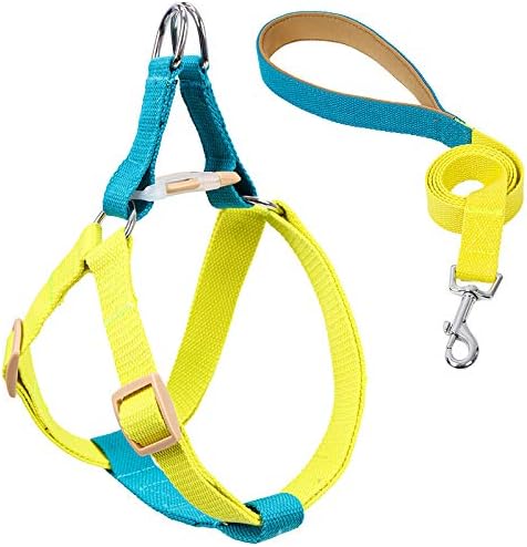 Rainbow Multi-Colour Dog Harness and Leash Set, Adjustable Easy to Wear Dog Harness and Leash Set (Blue Yellow,Large)