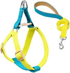 Rainbow Multi-Colour Dog Harness and Leash Set, Adjustable Easy to Wear Dog Harness and Leash Set (Blue Yellow,Large)
