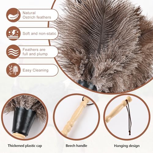 Ostrich Feather Duster 14" Natural Handheld Reusable Feathers Dusters with Wooden Handle for Cleaning Supplies Home Car Office(3PCS)