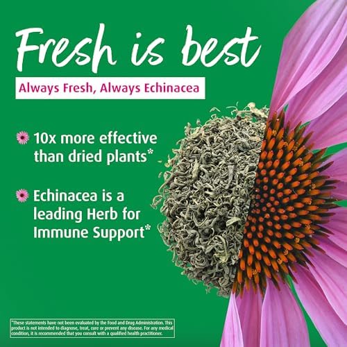 A. Vogel Echinaforce Tablets – Packaged Fresh Organic Echinacea – Daily Supplement for Immune Support – Non-GMO – Easy to Swallow – 120 Tablets