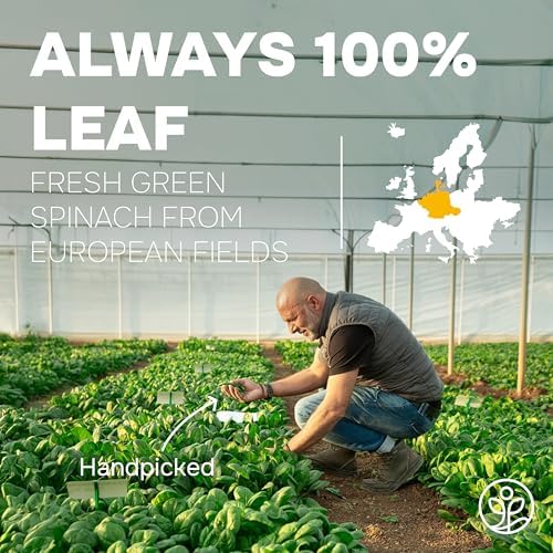 Organic Spinach Powder from Whole Leaf 5 Ounce Bag USDA Certified - Antioxidant Rich Smoothies Fresh Freeze Dried Spinach Leaves Extract for Immune Support - Espinaca Rich In Beneficial Thylakoids