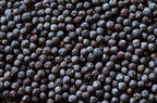 Juniper Berries - 16Oz (Real Wild Harvest) | 100% USDA Certified Organic | Bulk Juniper Berry (juniperus communis fructus) | Herbal Infusion| Cooking Meat | Seasoning Beef, Pork, Turkey Brine, Soups, Syrups and Tea | Wildcrafted in Albania
