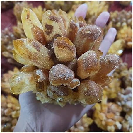 Health & Household Natural Citrine Phantom Quartz Crystal Cluster Healing Specimen (Size : 600-700g)