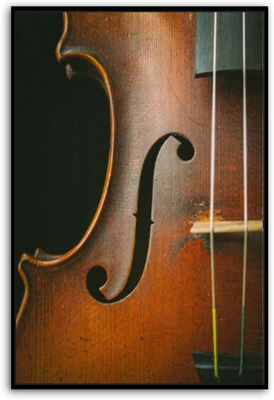 Generic Violin Canvas Wall Art Print, 16"X24", Classic Music Poster for Living Room