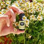 Edens Garden Copaiba Essential Oil- 100% Pure Premium Grade, Undiluted, Natural, Therapeutic, Aromatherapy, The Best for Diffuser, Skin, Face, Hair 10 ml (.33 fl oz)
