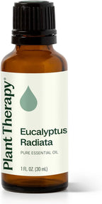 Plant Therapy Eucalyptus Radiata Essential Oil 30 mL (1 oz) 100% Pure, Undiluted, Therapeutic Grade