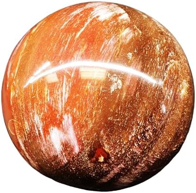 Petrified Wood Sphere Ball Minerals Mineral Stone BAPW11