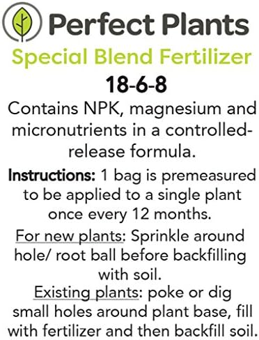 Fuji Apple Tree - Size: 3-4 ft, Live Plant, Includes Special Blend Fertilizer & Planting Guide