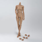 1/6 Scale Female Body, 12inch Suntan Skin Middle Bust Flexible Action Figure Body Doll Collection