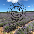 Absolute Aromas Organic Lavender French Essential Oil 10ml - 100% Pure, Natural, Certified Organic and Undiluted - for use in Aromatherapy, Massage or in a Diffuser