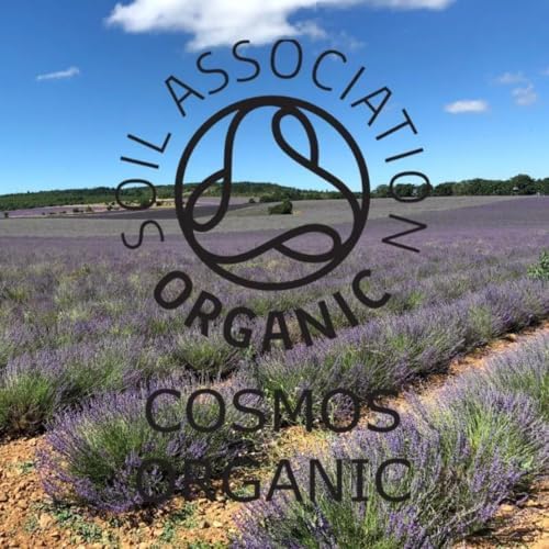 Absolute Aromas Organic Lavender French Essential Oil 10ml - 100% Pure, Natural, Certified Organic and Undiluted - for use in Aromatherapy, Massage or in a Diffuser