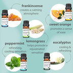 PURA D'OR Organic Sweet16 Essential Oils Set - 16x 10mL Wood Box Aromatherapy Gift Set - 100% Pure Therapeutic Grade for Relaxation and Wellness (Lavender, Rosemary, Turmeric, Ylang Ylang & More)