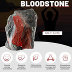 1.1lb Bulk Raw Bloodstone Rough Crystal-Natural Blood Stone Raw Stones Crystal for Tumbling, Cabbing, Fountain Rocks, Decoration,Polishing, Wire Wrapping, Wicca & Reiki Crystal Healing