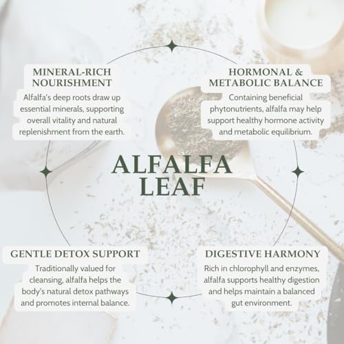 Organic Alfalfa Leaf 4 oz. (113g), USDA Certified Organic Alfalfa Herb Loose Tea, Medicago Sativa, Cut & Sifted