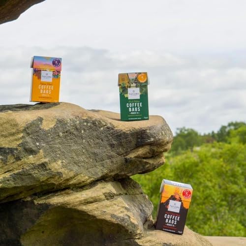 Taylors of Harrogate Coffee Bags, 2 X 10 Rich Italian Coffee Bags, 2 X 10 Hot Lava Java Coffee Bags and 2 X 10 Flying Start Coffee Bags (Total 6 Packs, 60 bags)