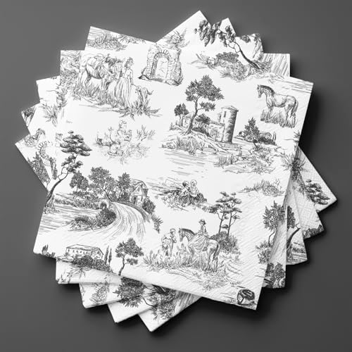 80 Sheets Vantage French Toile Paper Napkins, Disposable Countryside Horses, Bridges Trees Village Toile Napkins for Xmas Dinner Picnic Cocktail Birthday Party Supplies, 13 x 13 inches (Black)