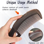 Dandruff Comb with Self-Cleaning Hollow Teeth Detox Scalp Sweep Oil Removal Lice Comb Multifunctional Hair Combs for Women Men Kids (Brown)