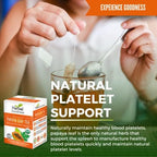 Organic Papaya Leaf Extract Tea For Platelets 24bags - Papaya Enzymes Natural Blood Platelet Tea - For Immune Gut & Digestive Health - Made in the USA