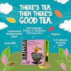 Clipper Tea Organic Strawberry & Elderflower Herbal Tea – 50 Count (Pack of 1) – Caffeine Free & Non-GMO – Unbleached, Plastic-Free Tea Bags – Delicious Hot or Iced Fruit Infusion