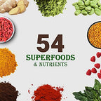 UpNourish Chocolate Vegan Protein Powder 54 Superfoods Powder,1.5 Billion CFU Probiotics 21g Plant Based Protein,No Sugar No Dairy No GMO Dairy Free,Meal Replacement Shake Keto-Friendly Low-Carb Diet,15 Servings