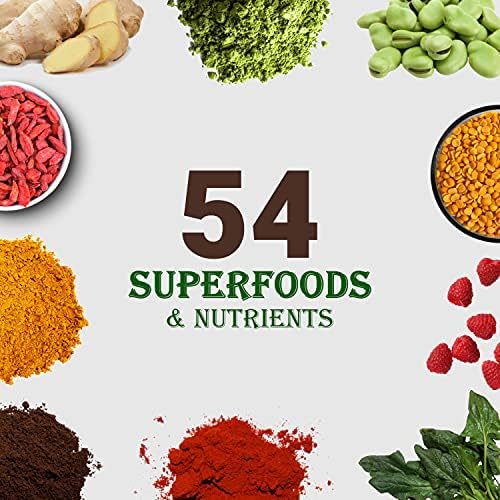 UpNourish Chocolate Vegan Protein Powder 54 Superfoods Powder,1.5 Billion CFU Probiotics 21g Plant Based Protein,No Sugar No Dairy No GMO Dairy Free,Meal Replacement Shake Keto-Friendly Low-Carb Diet,15 Servings