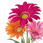 IHR Ideal Home Range Party Napkins Disposable 3-Ply Paper Lunch Napkin Pack, 6.5" x 6.5", Joyful Gerbera (White), 20-Count