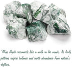 Moss Agate Natural Raw Crystals 2PCS Healing Crystal Stones 1.2-2.0” Reiki Healing Gemstones for Meditation Chakra Balance Home Decor