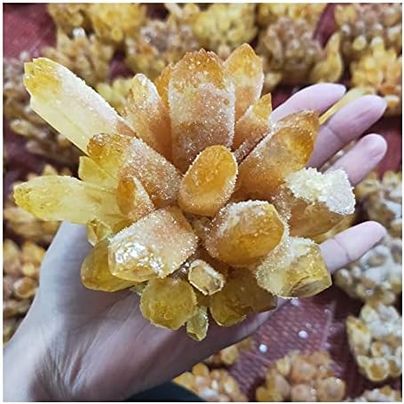 Health & Household Natural Citrine Phantom Quartz Crystal Cluster Healing Specimen (Size : 600-700g)