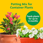 Miracle-Gro Potting Mix - For Container Plants, Flowers, Vegetables, Shrubs, Annuals, Perennials, Potting Soil Mix, Feeds up to 6 Months, 8 qt. (2-Pack)