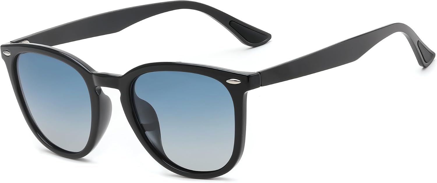 FEISEDY Retro Photochromic Classic Polarized Sunglasses for Women Men Trendy Style Vintage Sunnies B1123