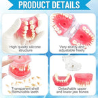 Standard Study Teaching Dental Model with All Removable Teeth - Soft Silicone Gel Gum and Bendable Teeth Typodonts for Students and Professionals - Ideal for Dental Education and Demonstrations
