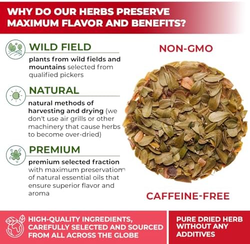 30 Bags Uva Ursi Leaf Uva Ursi Tea Herbal (Arctostaphylos Uva-Ursi) - 30 Count 1.5g Tea Bags Ursa Bag Uva-Ursi Herb Arctostaphylos Uva-Ursi