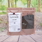 Health Embassy Lovage Leaf | Levisticum Officinale L | Herbal Tea (100g)