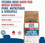 Yecora Rojo Hard Red Wheat Berries by Grand Teton Organic Wheat | Organic Hard Red Spring Wheat Berries for Baking Whole Grain Breads or Milling Into Flour | Non-GMO, (5 Pounds)