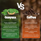 NooKoo Organic Guayusa Loose Leaf Tea 9 oz | Clean Energy & Focus | 60mg Natural Caffeine | Smooth, Jitter-Free Boost | Antioxidant-Rich Herbal Tea | Coffee Alternative from the Amazon