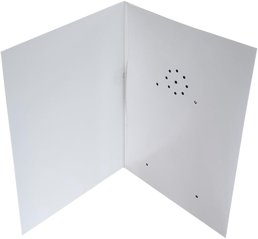 Talking Products Voice Recordable Talking Greeting Card, 40 Seconds Recording with Replaceable Batteries, Record and Send a Personal Voice Message for Birthday, Christmas & Mother's Day