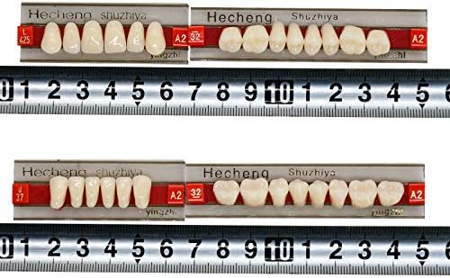 84 Pcs Dental Complete Acrylic Resin Denture False Teeth 3 Sets Synthetic Polymer Resin Denture Teeth 23 Shade A2 Upper + Lower Dental Materials