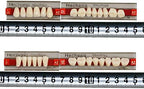 84 Pcs Dental Complete Acrylic Resin Denture False Teeth 3 Sets Synthetic Polymer Resin Denture Teeth 23 Shade A2 Upper + Lower Dental Materials