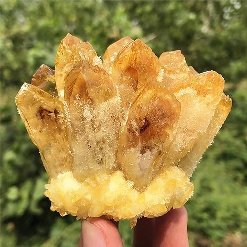 Citrine Quartz Cluster Reiki Healing Irregular Shape & Size Natural Crystal Point Mineral Crystal Specimen Home Decor (300~400g)