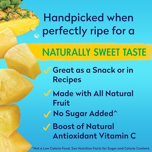 Dole Pineapple Chunks in 100% Pineapple Juice with No Sugar Added - Dole Canned Fruit - 20 oz Cans - 12 Pack